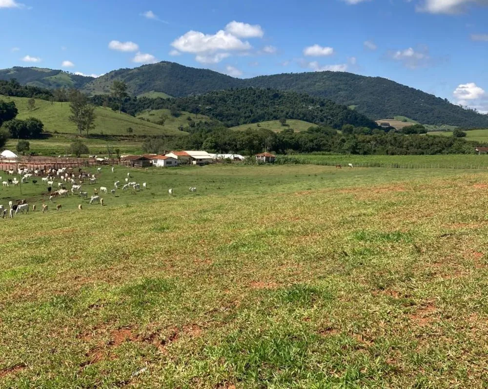 Fazenda, 165 hectares - Foto 5