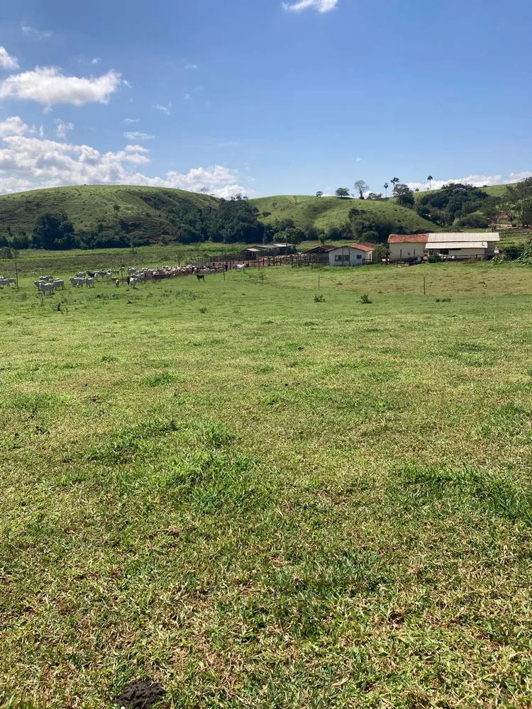 Fazenda, 165 hectares - Foto 12