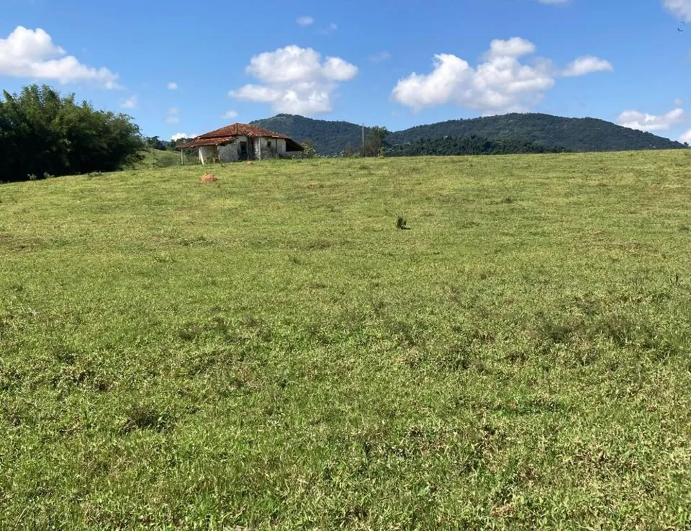 Fazenda, 165 hectares - Foto 10