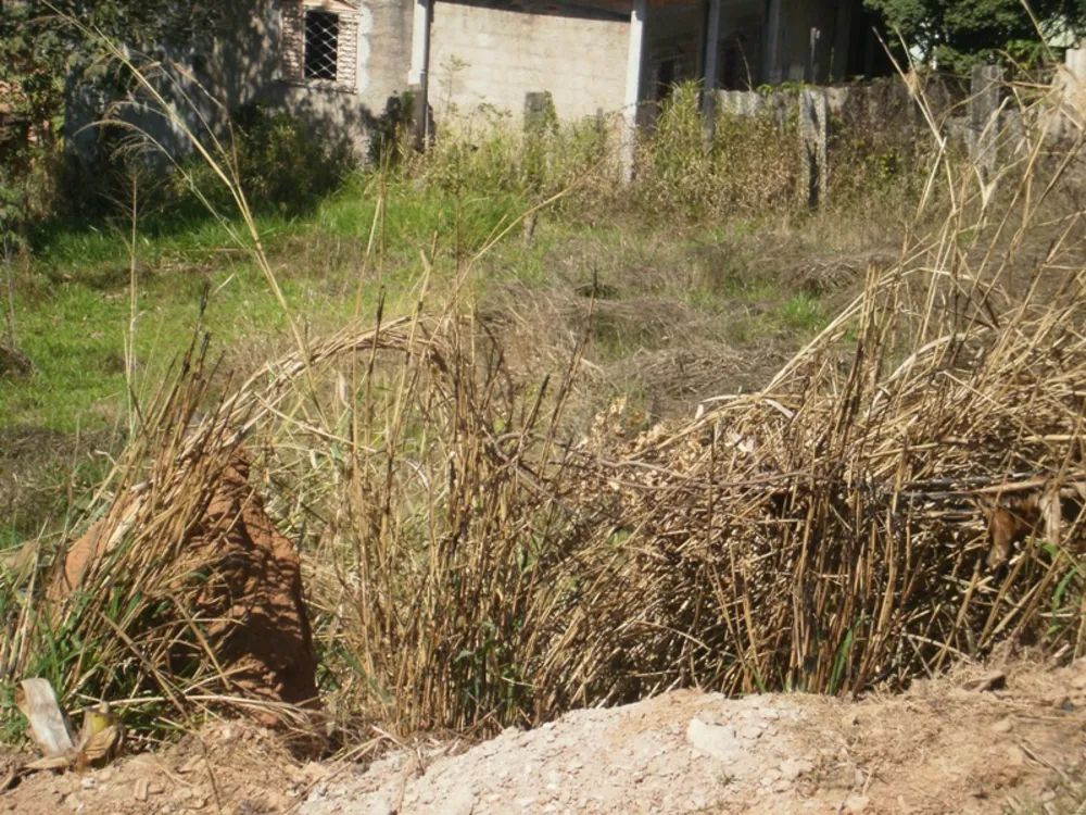 Terreno, 450 m² - Foto 2