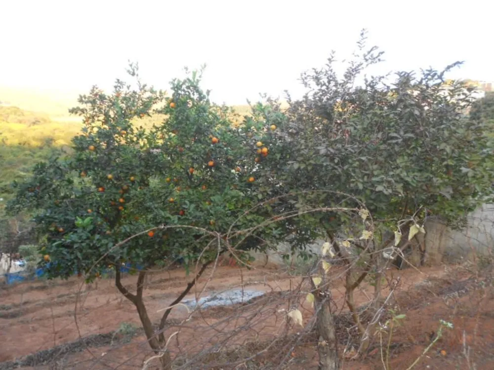Terreno, 400 m² - Foto 7