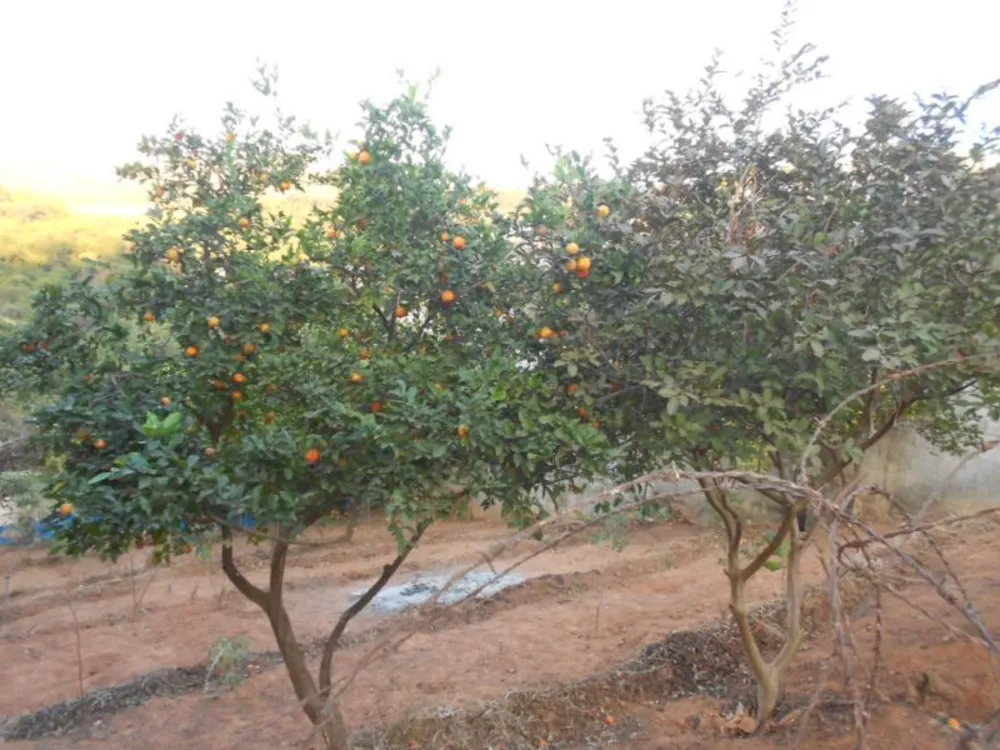 Terreno, 400 m² - Foto 12