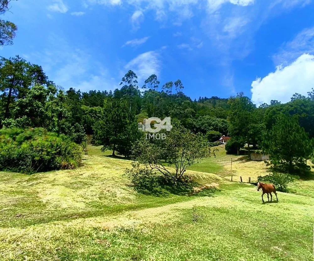 Sítio, 5 quartos, 3 hectares - Foto 42
