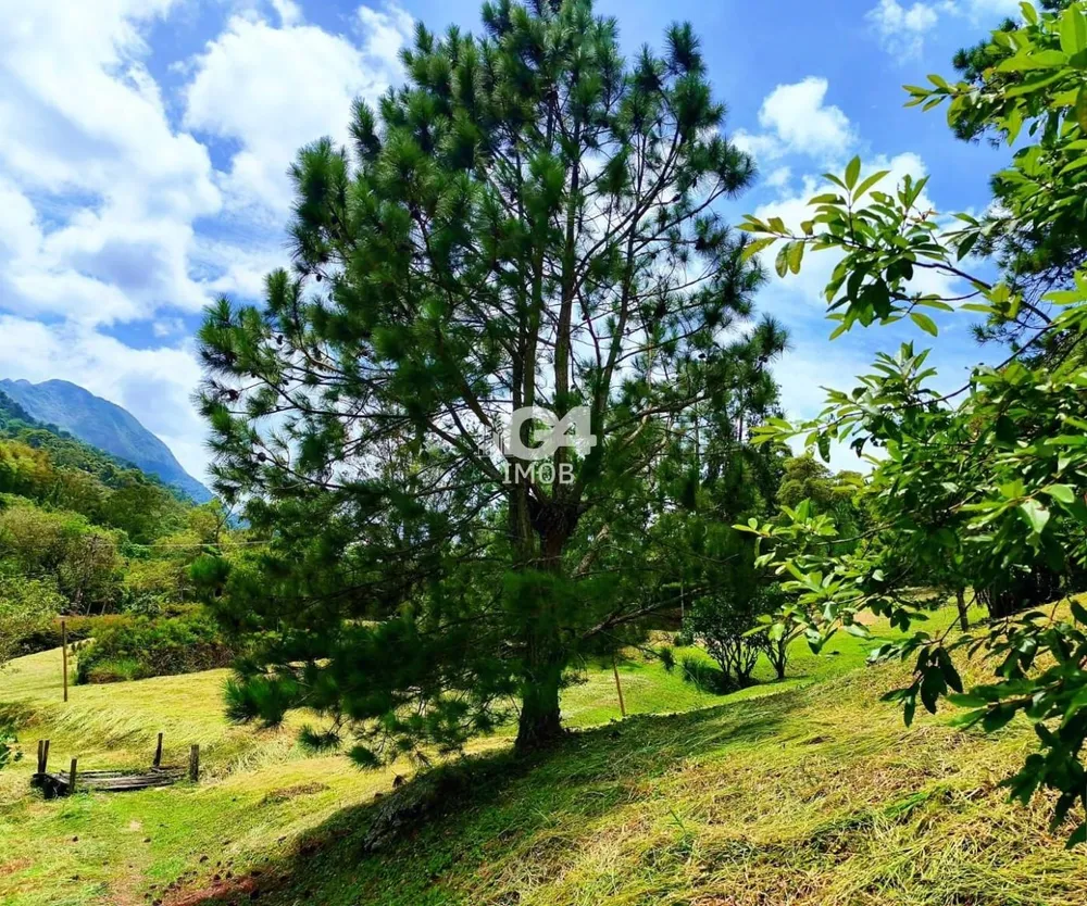 Sítio, 5 quartos, 3 hectares - Foto 45