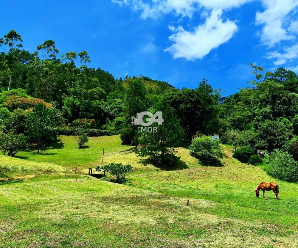 Sítio, 5 quartos, 3 hectares - Foto 25