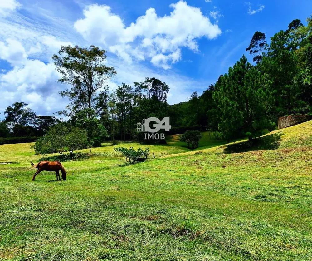 Sítio, 5 quartos, 3 hectares - Foto 9