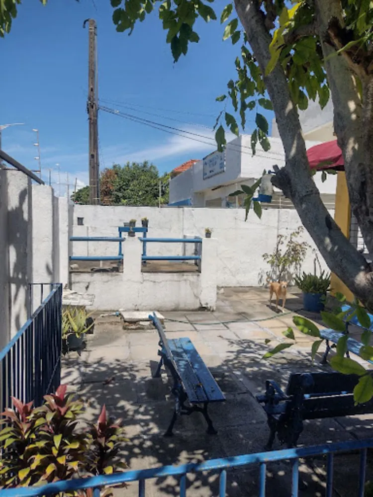 Casa, 4 quartos, 200 m² - Foto 4