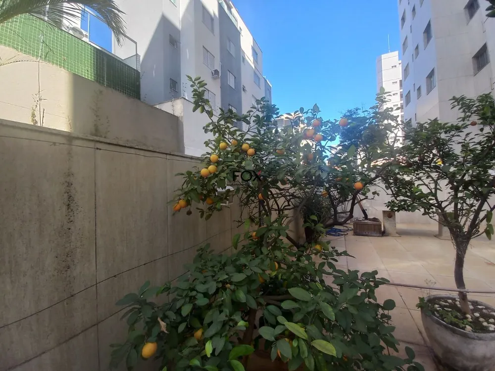 Apartamento, 4 quartos, 292 m² - Foto 19