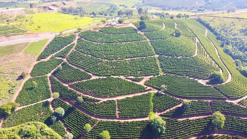 Sítio, 1 quarto, 24 hectares - Foto 10