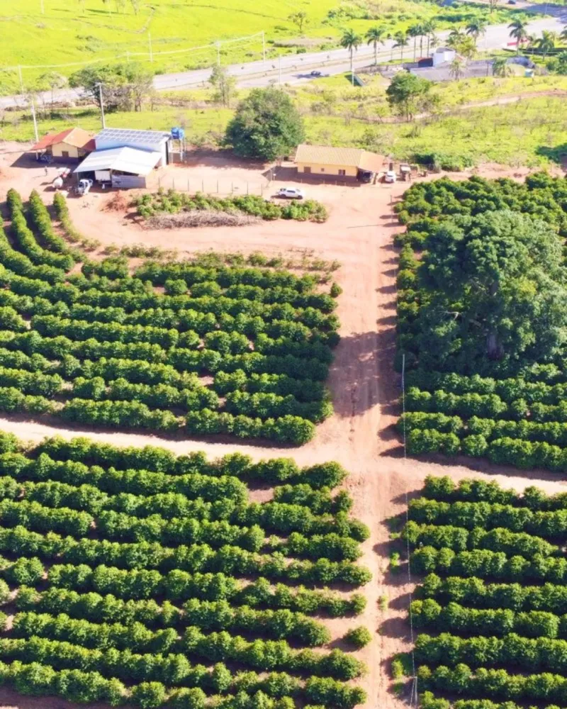 Sítio, 1 quarto, 24 hectares - Foto 4