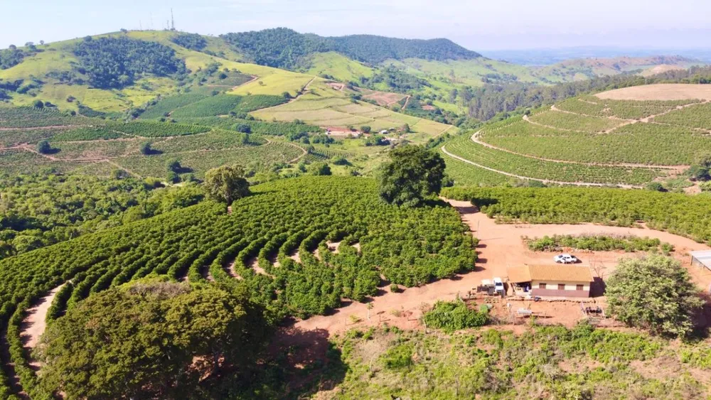 Sítio, 1 quarto, 24 hectares - Foto 12