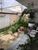 Casa, 2 quartos, 360 m² - Foto 2