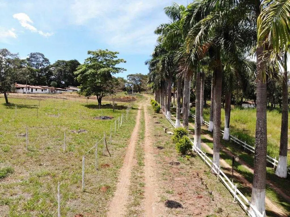 Terreno, 10000 m² - Foto 1