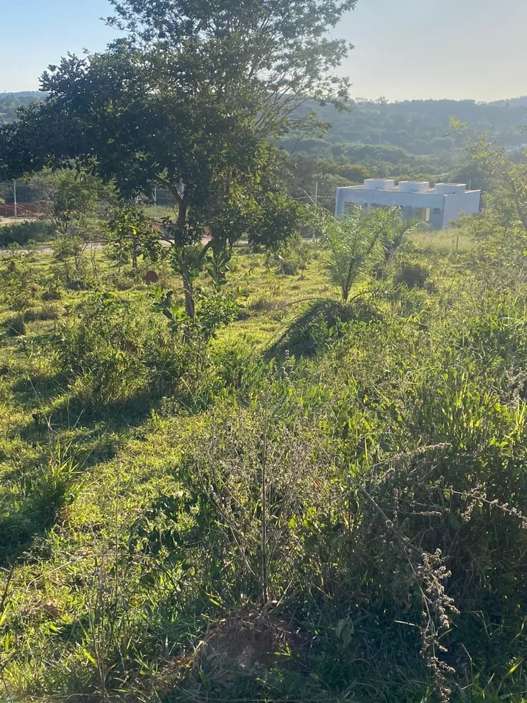 Terreno, 300 m² - Foto 3