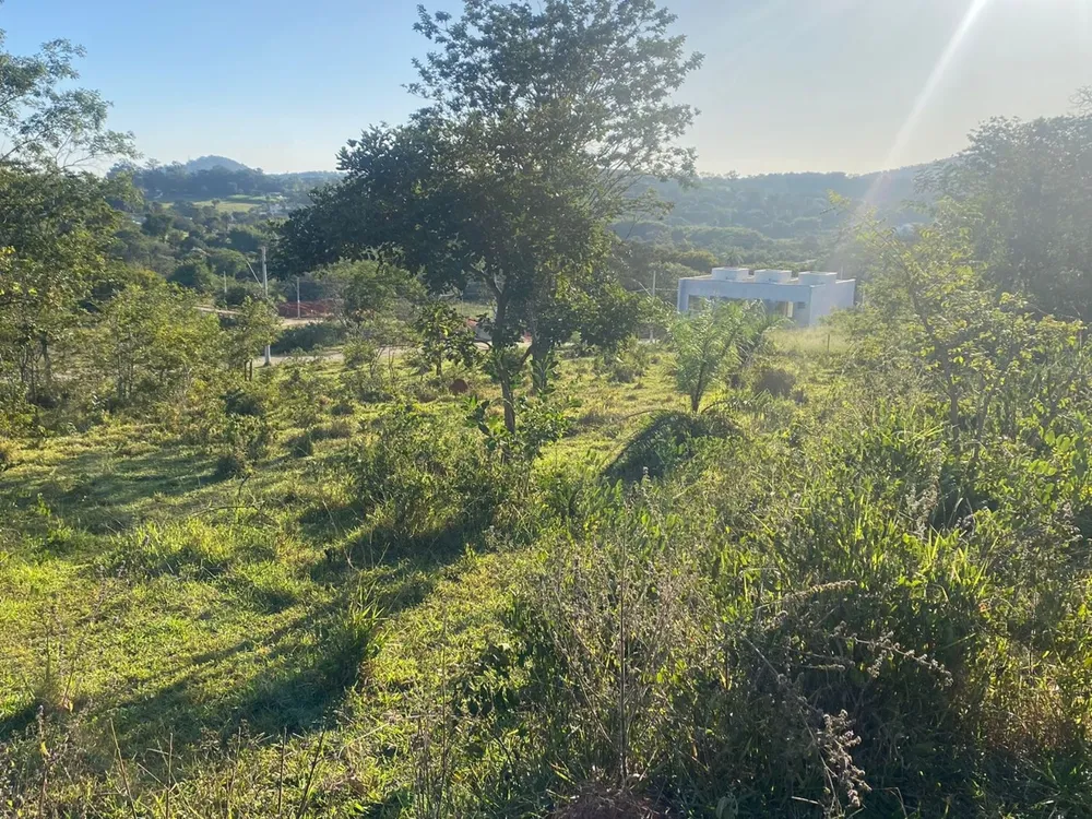 Terreno, 300 m² - Foto 1