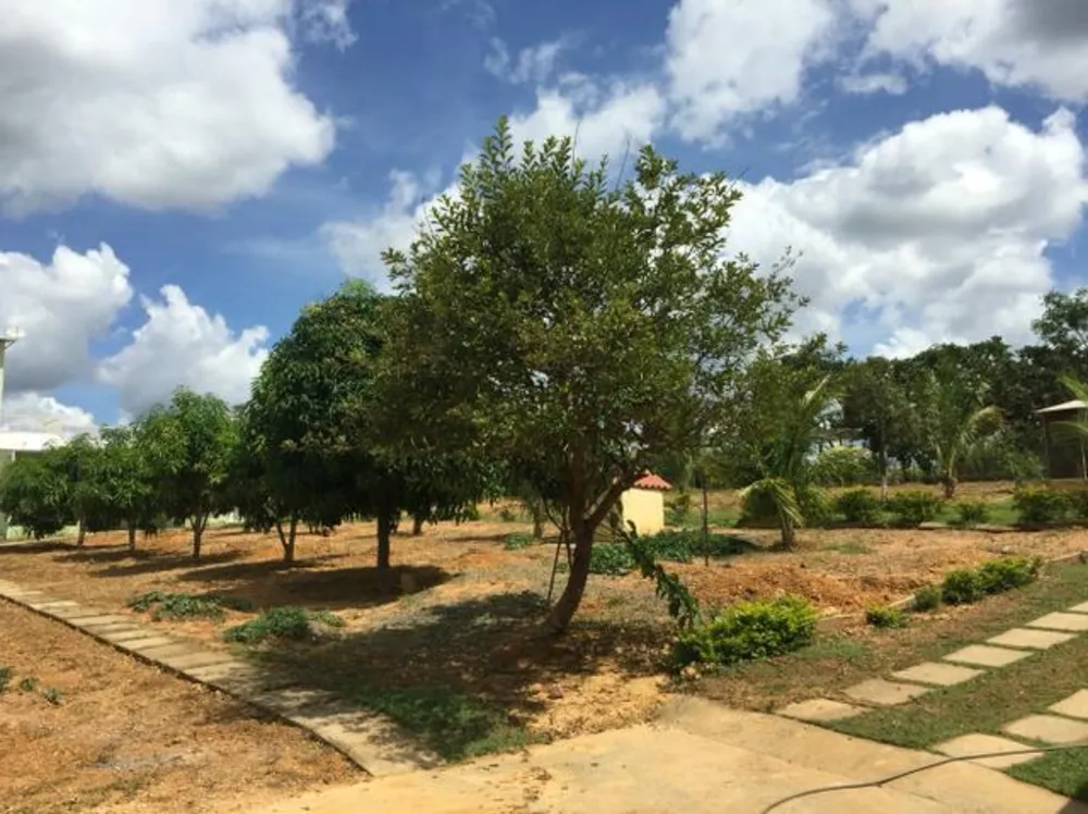 Sítio, 3 quartos, 2400 m² - Foto 1