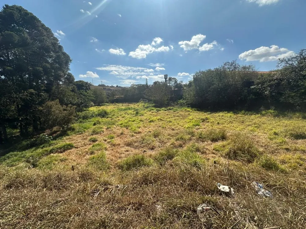 Terreno, 8840 m² - Foto 5