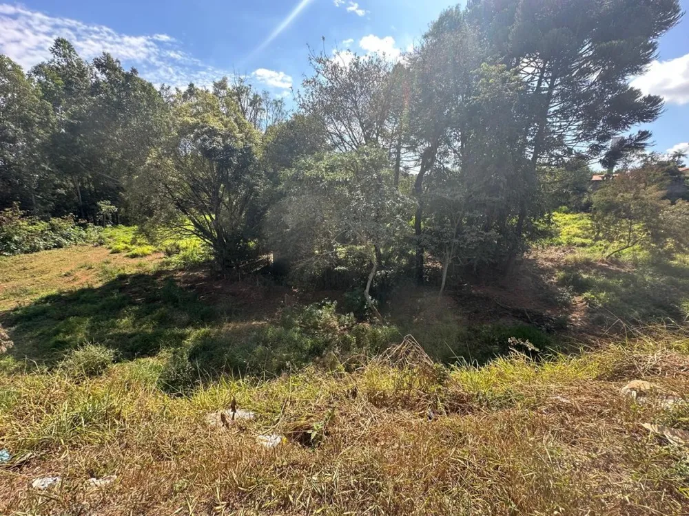 Terreno, 8840 m² - Foto 6