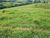 Fazenda, 242 hectares - Foto 2