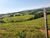 Fazenda, 242 hectares - Foto 4