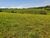 Fazenda, 242 hectares - Foto 5