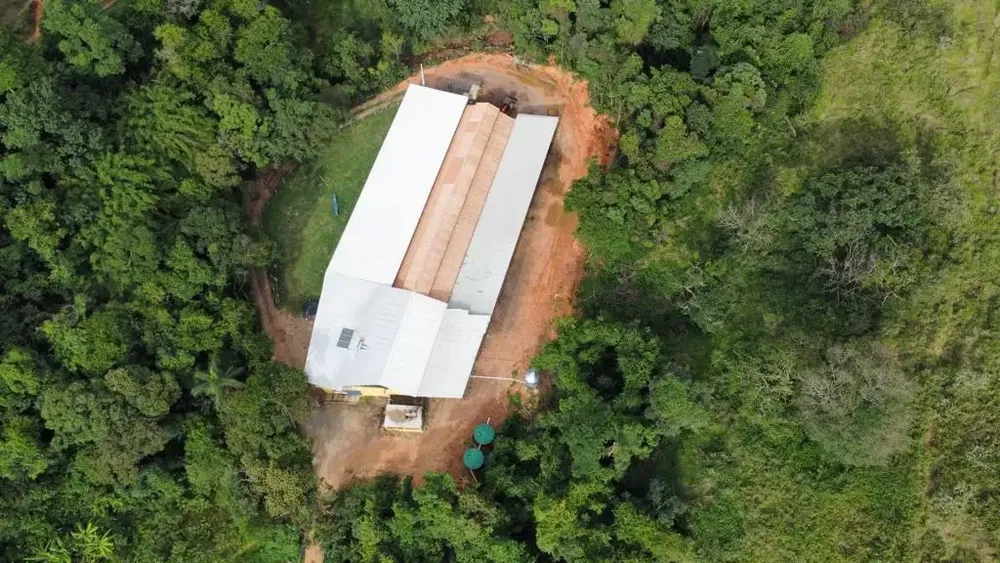 Fazenda, 5 quartos - Foto 5
