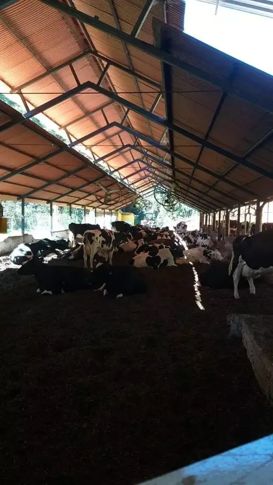 Fazenda, 5 quartos - Foto 3