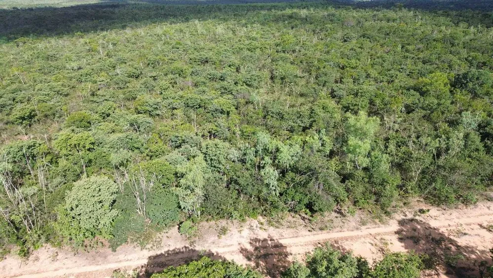 Fazenda, 3260 hectares - Foto 1