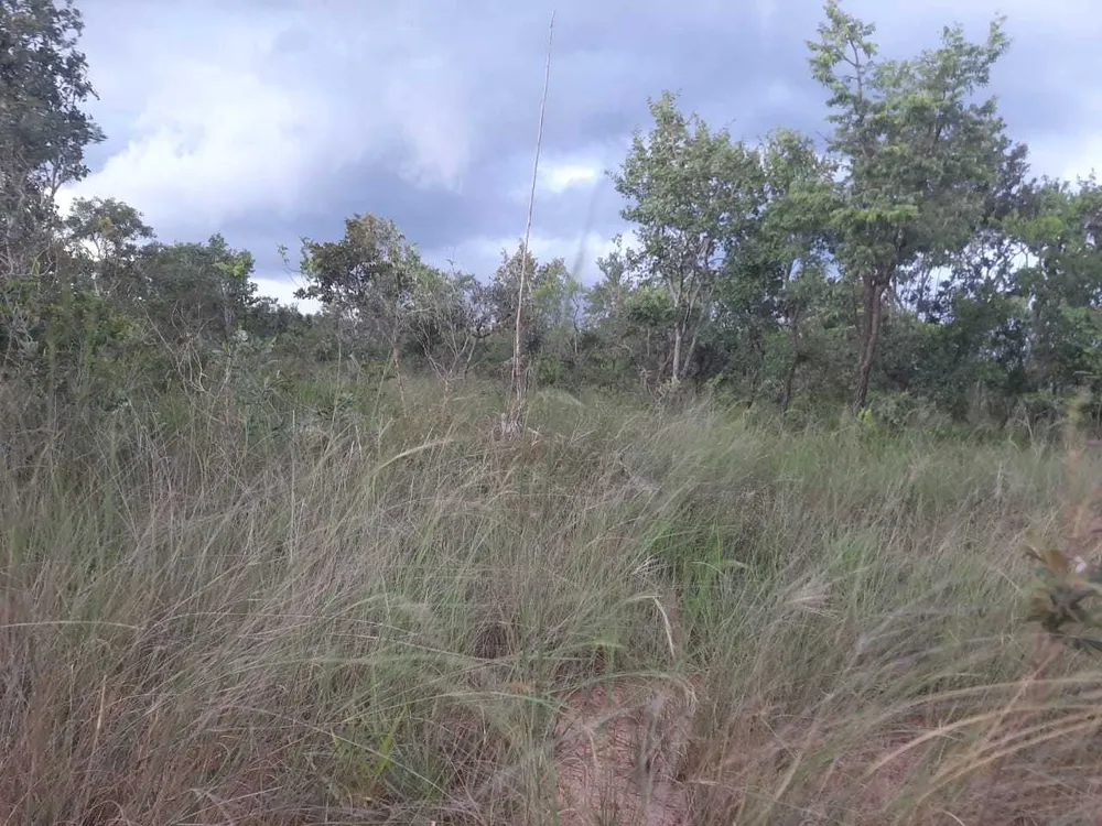 Fazenda, 3260 hectares - Foto 3