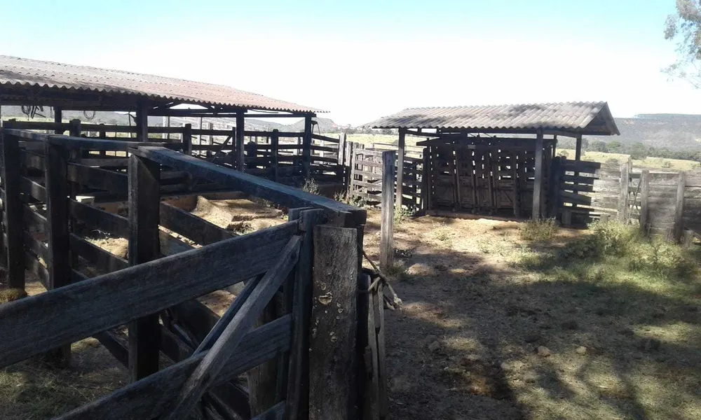 Fazenda, 3260 hectares - Foto 8