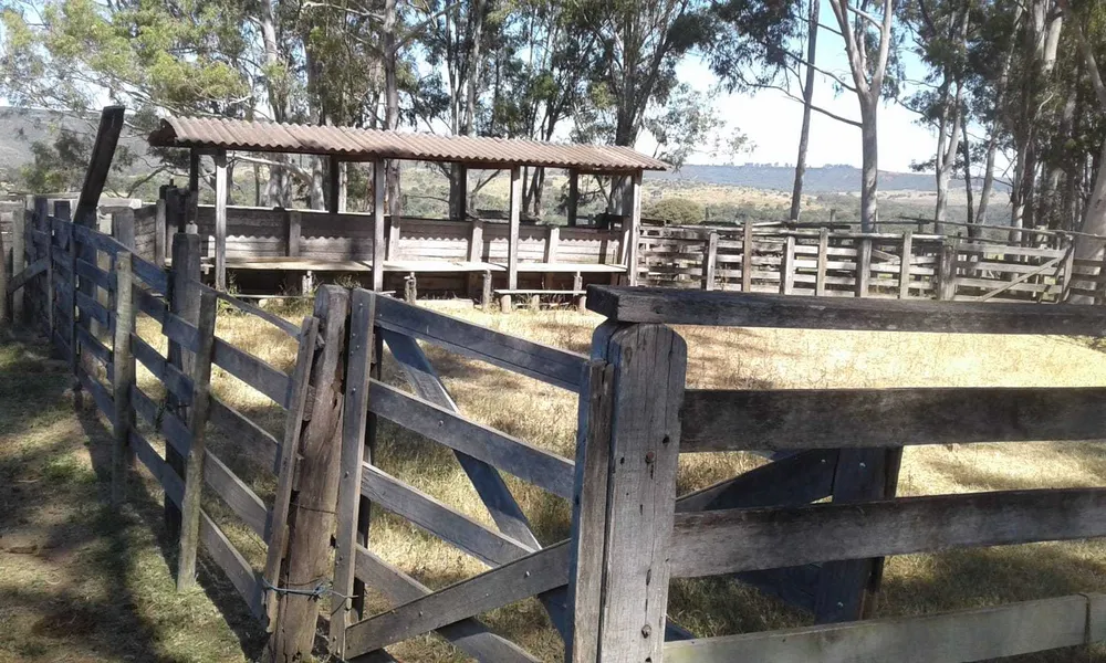 Fazenda, 3260 hectares - Foto 7