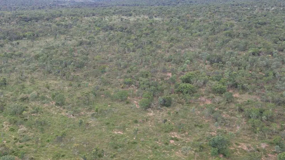Fazenda, 3260 hectares - Foto 2
