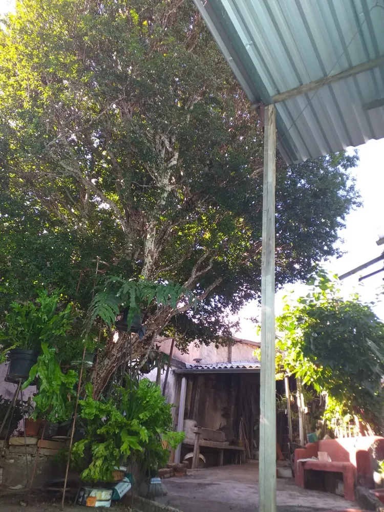 Casa, 4 quartos, 259 m² - Foto 3