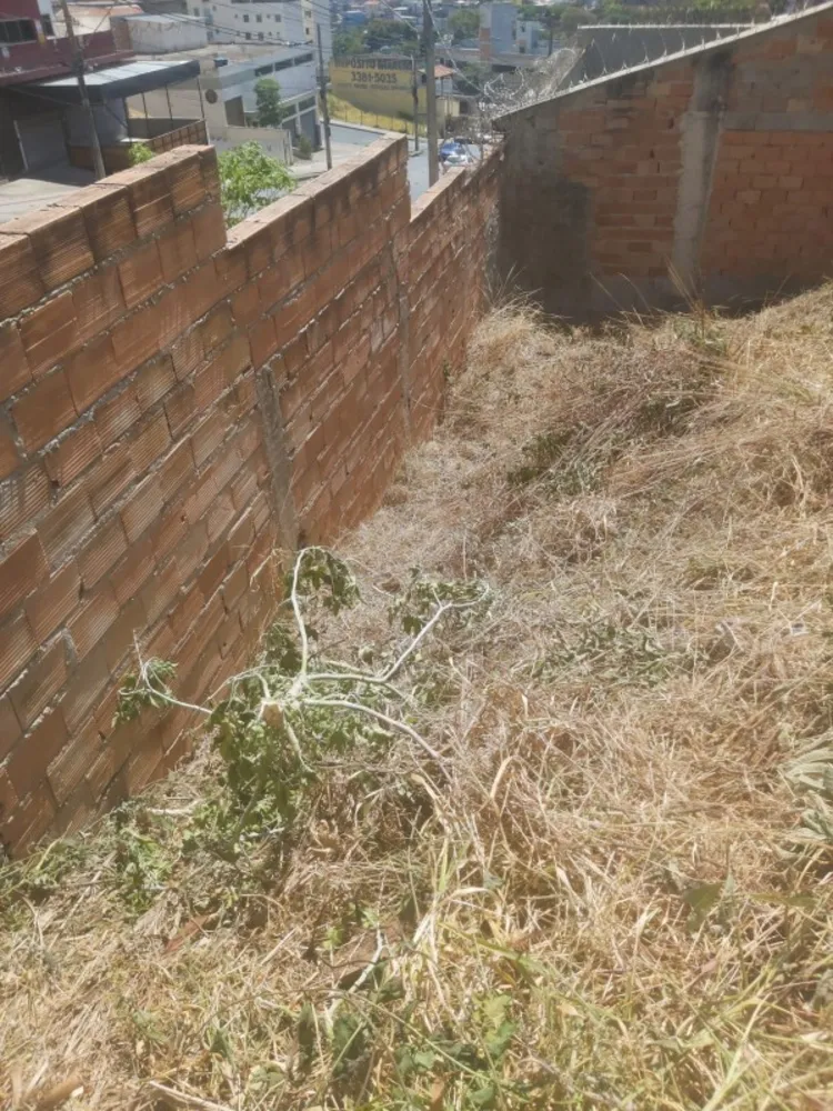 Terreno, 719 m² - Foto 4