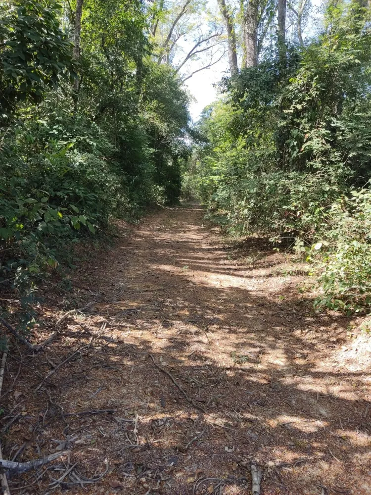 Terreno, 110000 m² - Foto 5