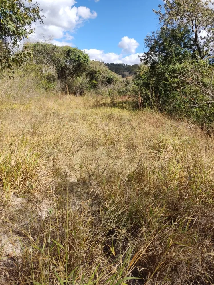 Terreno, 110000 m² - Foto 4