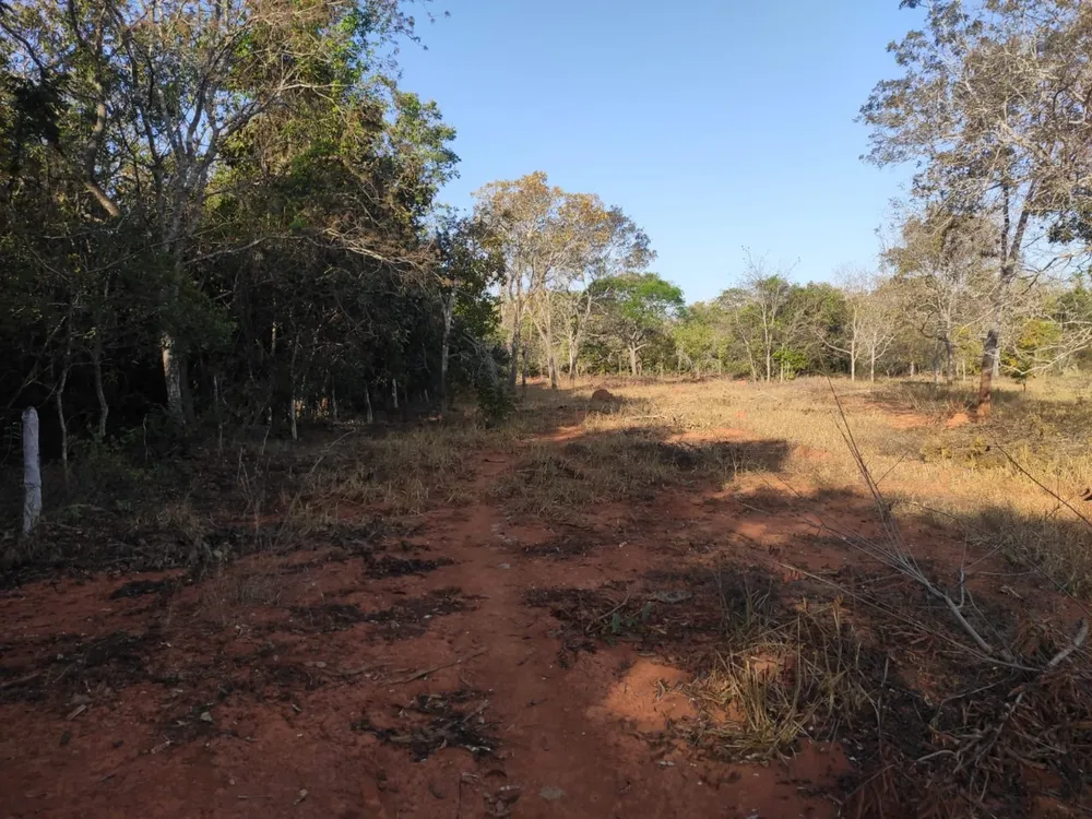 Terreno, 110000 m² - Foto 3