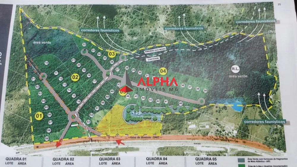 Terreno, 600000 m² - Foto 6