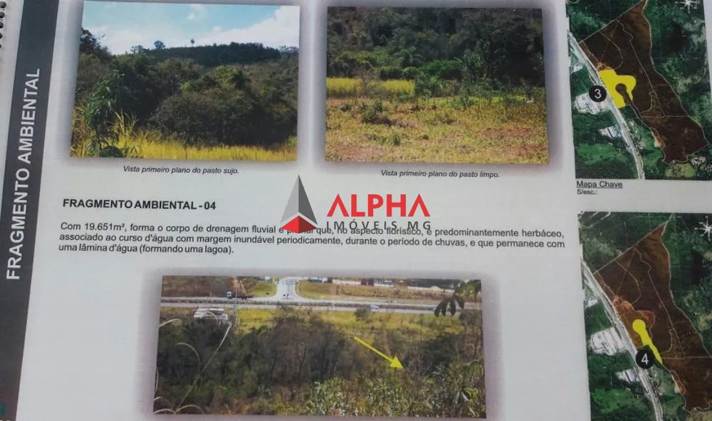 Terreno, 600000 m² - Foto 5