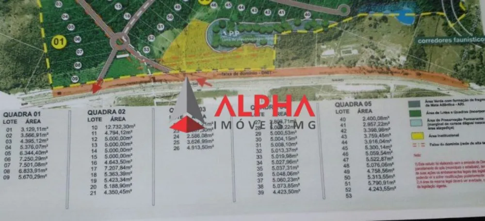 Terreno, 600000 m² - Foto 4