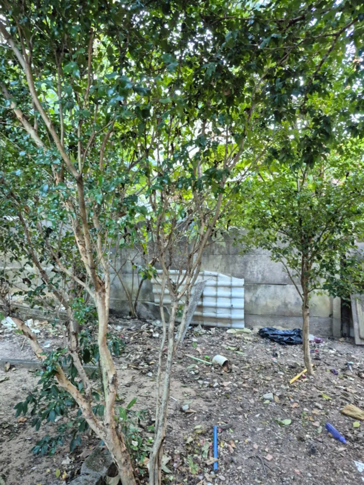 Casa, 2 quartos, 75 m² - Foto 2
