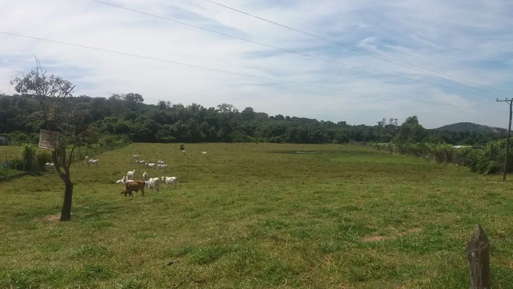 Terreno, 10000 m² - Foto 2