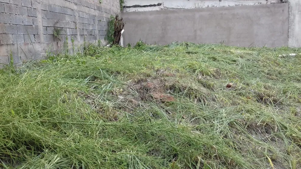 Terreno, 409 m² - Foto 3