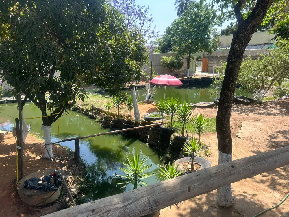 Terreno - Foto 6