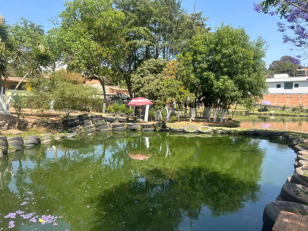 Terreno - Foto 4