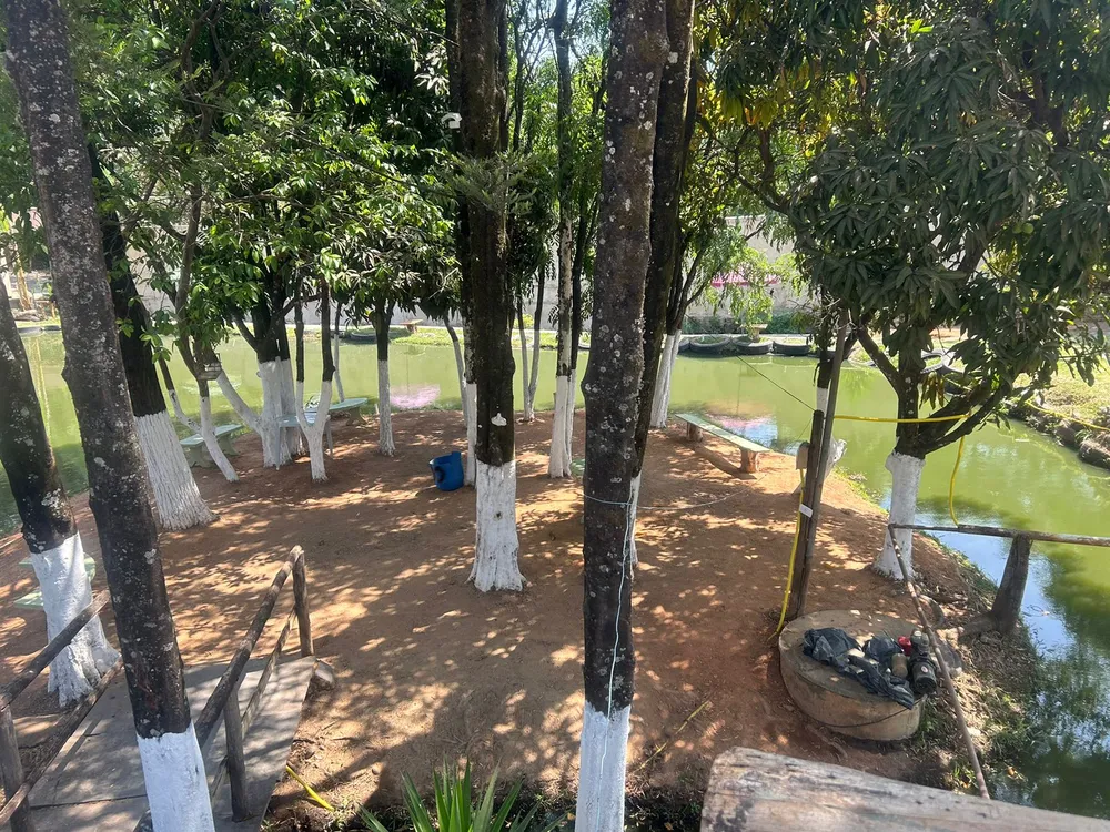 Terreno - Foto 7