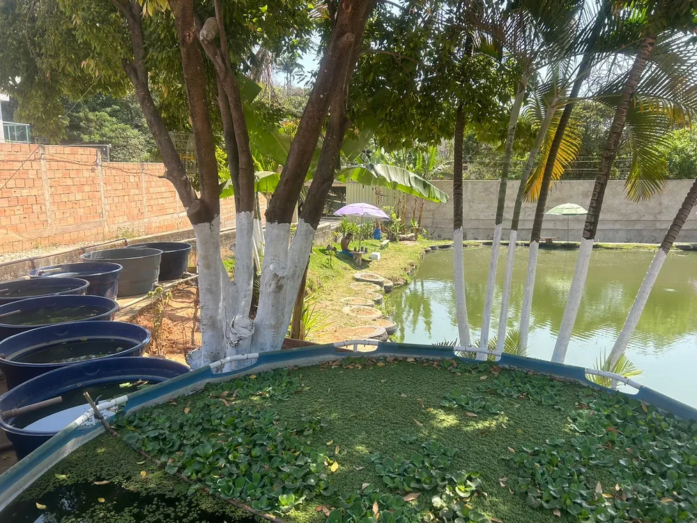 Terreno - Foto 5