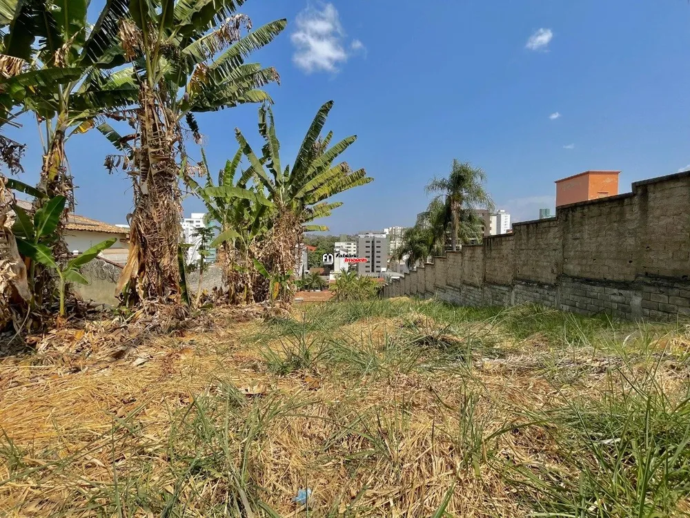 Terreno, 1000 m² - Foto 3