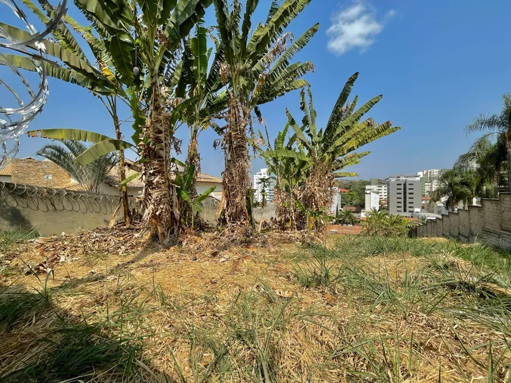 Terreno, 1000 m² - Foto 2