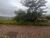 Terreno, 363 m² - Foto 1